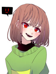 chara (undertale) from undertale
