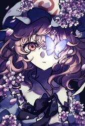 saigyouji yuyuko from touhou