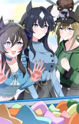 cheval grand (umamusume) from umamusume