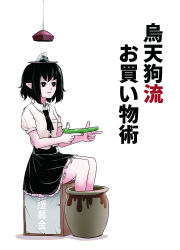 shameimaru aya from touhou by peroponesosu.