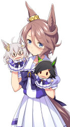 biwa hayahide (umamusume) from umamusume by odawara hakone