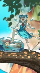 cirno from touhou
