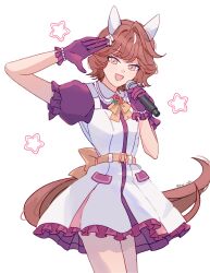 umamusume fan art