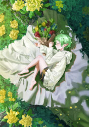 sylphiette (mushoku tensei) from mushoku tensei