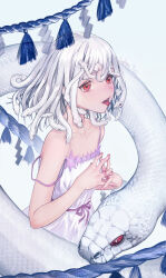 sengoku nadeko from koimonogatari