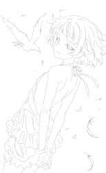 kiss-shot acerola-orion heart-under-blade from kizumonogatari
