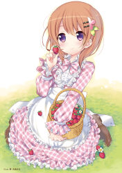 hoto cocoa from gochuumon wa usagi desu ka?