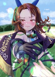 king halo (umamusume) from umamusume by itsuki isshiki