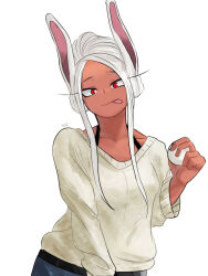 mirko from boku no hero academia