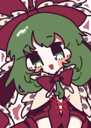 kagiyama hina from touhou