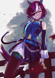 tanino gimlet (embodiment of keravnos) (umamusume) from umamusume by itsuki isshiki