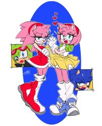 amy rose from sonic (series)