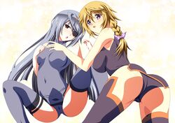 charlotte dunois from infinite stratos by ka2
