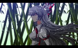 fujiwara no mokou from touhou by nekominase