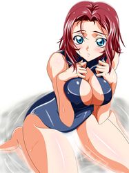 kallen stadtfeld from code geass by sigsig