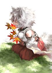inubashiri momiji from touhou by tohya