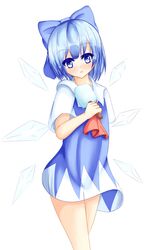 cirno from touhou by aiykawa