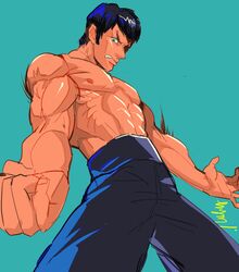 fei long from street fighter by hymc