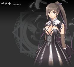 sakuya (shining blade) from blade arcus from shining by tanaka takayuki