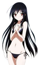 kuroyukihime from accel world