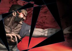 raidou (doa) from dead or alive
