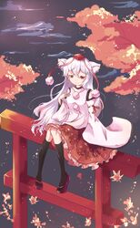 inubashiri momiji from touhou by niromi