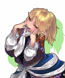 mizuhashi parsee from touhou