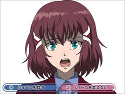 sashinami shouko from kakumeiki valvrave by todo (masa3373)