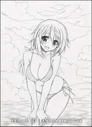 charlotte dunois from infinite stratos by nightmare77zx