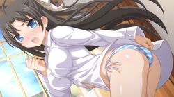 mieko (sakura swim club) from sakura swim club by wanaca