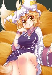 yakumo ran from touhou by langlong