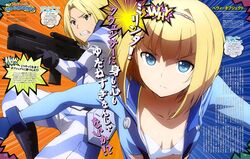 havia winchell from heavy object