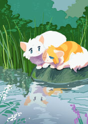 cloudtail from the prophecies begin