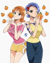 nami (one piece) from one piece