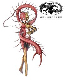 mukade tiger from kamen rider by eidenjyou1997