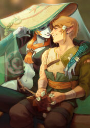 link from the legend of zelda