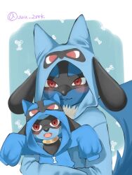 lucario from pokemon