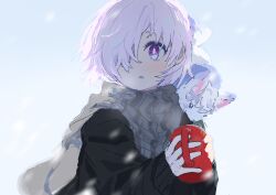 fou (fate) from fate/grand order