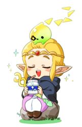 princess zelda from the legend of zelda by tnp