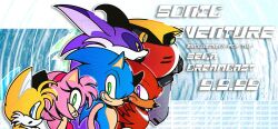 amy rose from sonic (series)