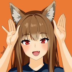 holo from spice and wolf