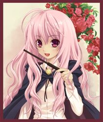 louise francoise le blanc de la valliere from zero no tsukaima by hitsujimura saki