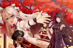 kiana kaslana from honkai (series)
