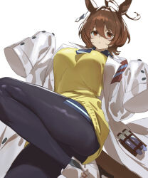 agnes tachyon (umamusume) from umamusume