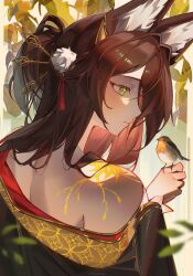 tingyun (honkai: star rail) from honkai: star rail