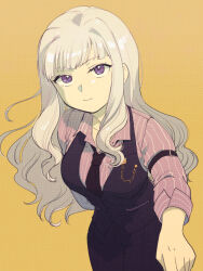 shijou takane from idolmaster