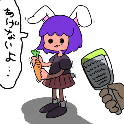 fake hisui (cookie) from cookie (touhou)
