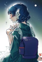 wakasagihime from touhou by kokechankokko