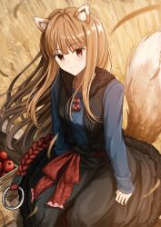 holo from spice and wolf