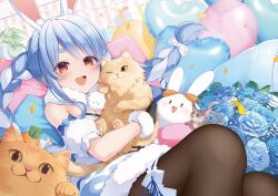 don-chan (usada pekora) from hololive
